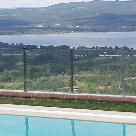 Pasha Sapanca