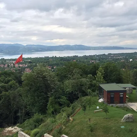 Pasha