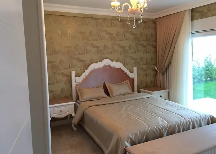 Pasha 빌라 사판자